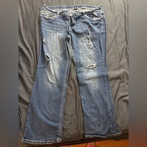 Amethyst Jeans Distressed Flare women’s Plus Size 24